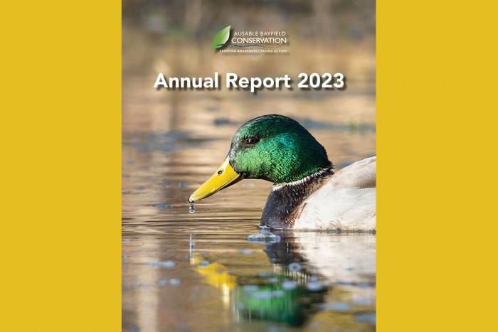 A duck photo on cover of 2023 Annual Report.