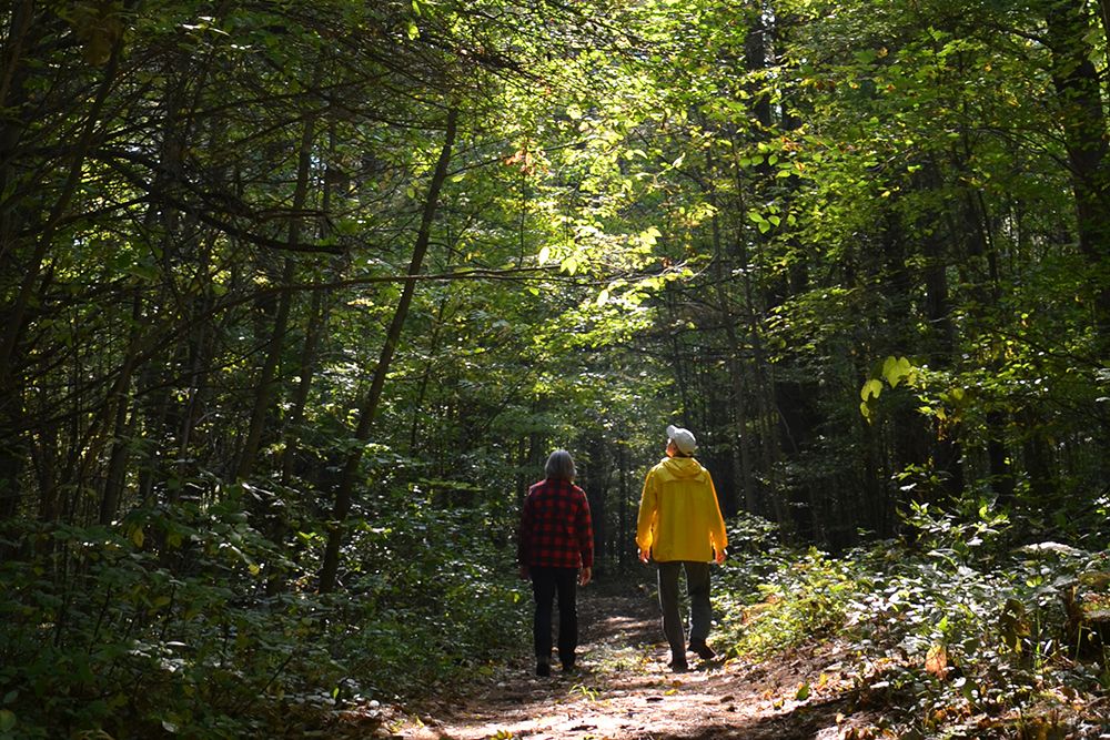 Walking_through_the_trees_web.jpg