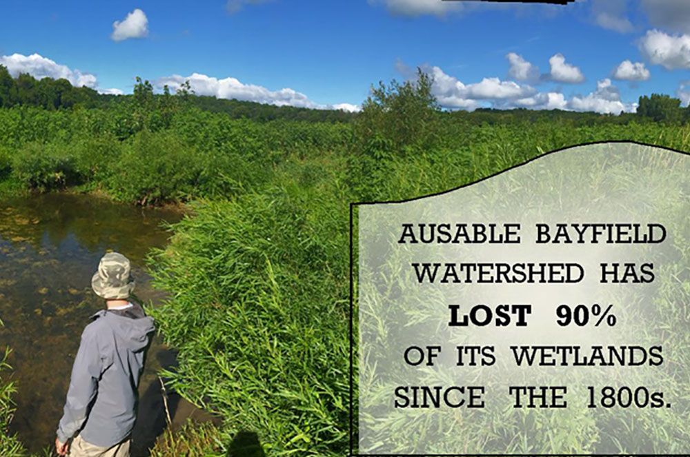 World_Wetlands_Day_Web_2019.jpg