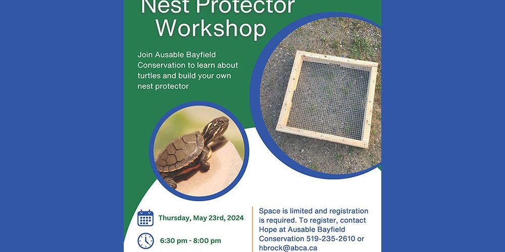 Poster for turtle workshop.