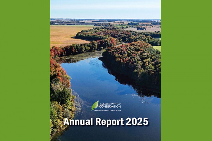 An aerail photo of the watershed on annual report cover