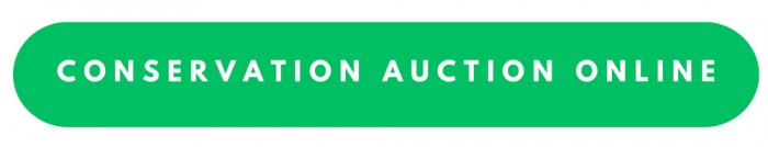 A button link to Conservation Auction online for 2025.