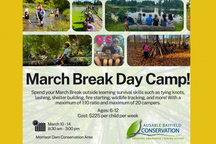 A collage of photos showing young people at nature day camps.