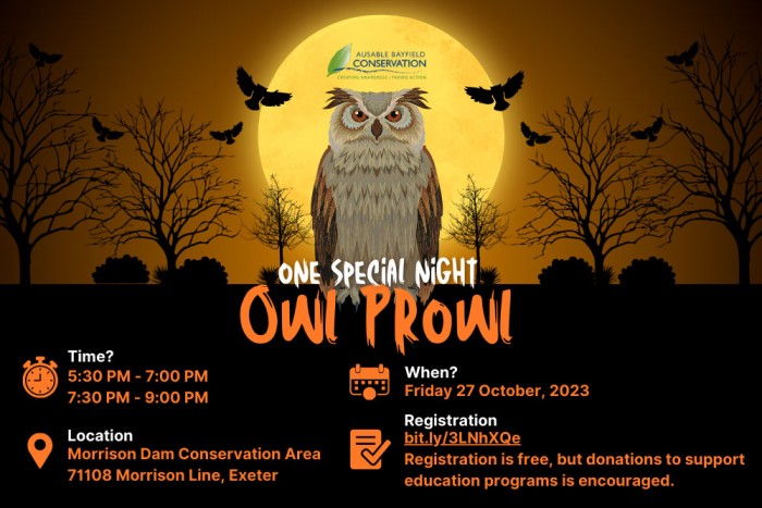 A poster for October Owl Prowl, 2023.