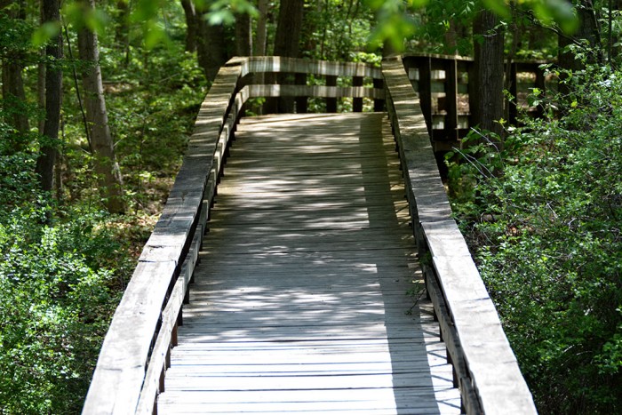 A photo of bridge, at MDCA, near 5-kilometre trail marker.