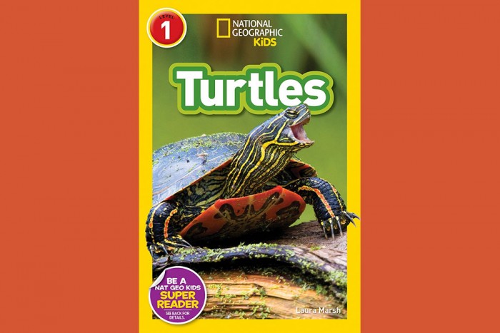 National Geographic Kids Turtles Book part of prize pack.