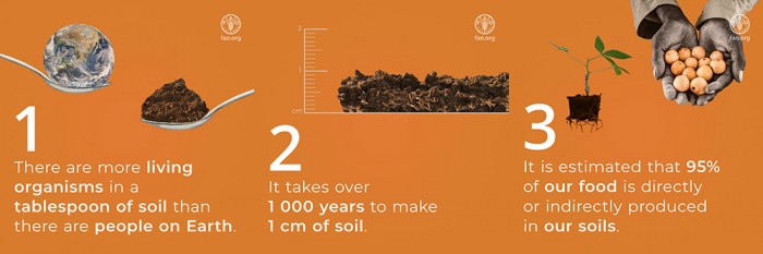 A poster with three reasons that protecting soil is important.