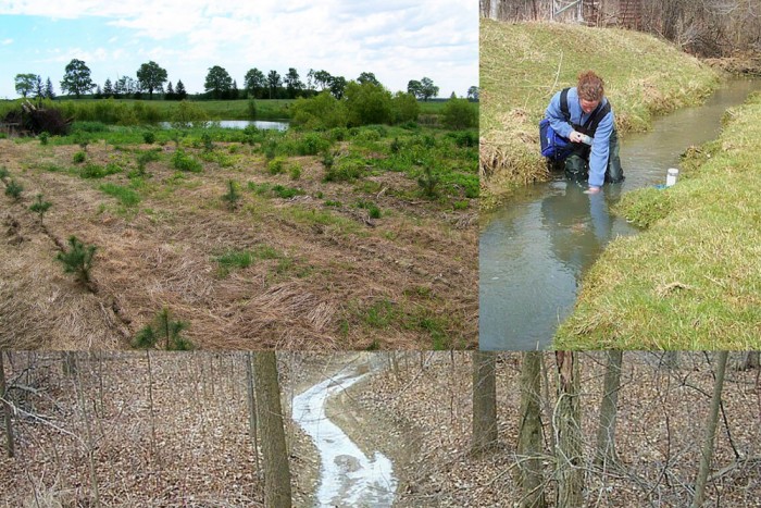 A photo of tree planting, wetlands, monitoring in Township of Warwick.