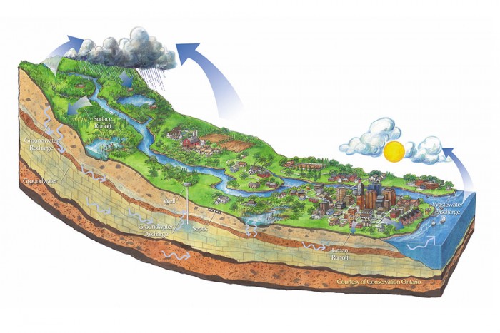 This image is a graphic showing a cross-section of a watershed.