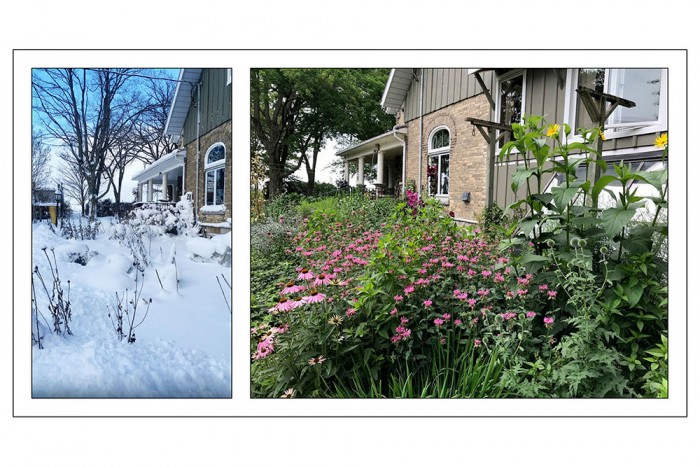 A photo collage showing a winter garden and a spring garden.