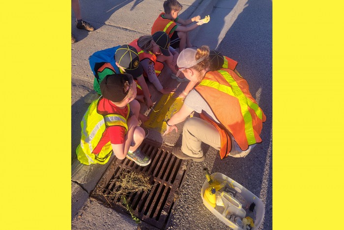Yellow Fish Road 2018