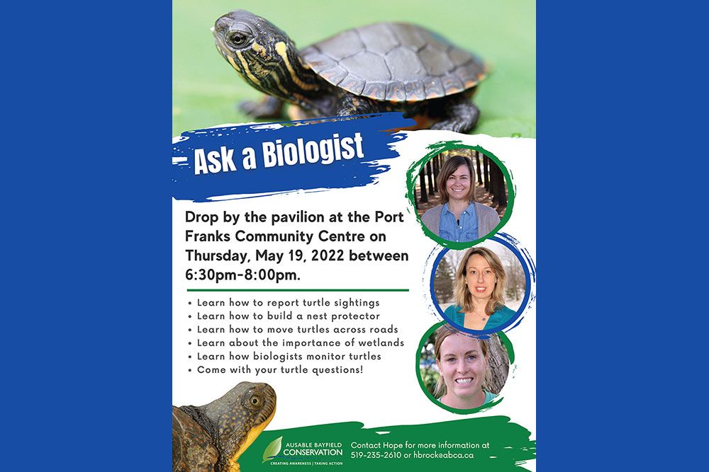 Ask_a_Biologist_Turtles_1000_px.jpg