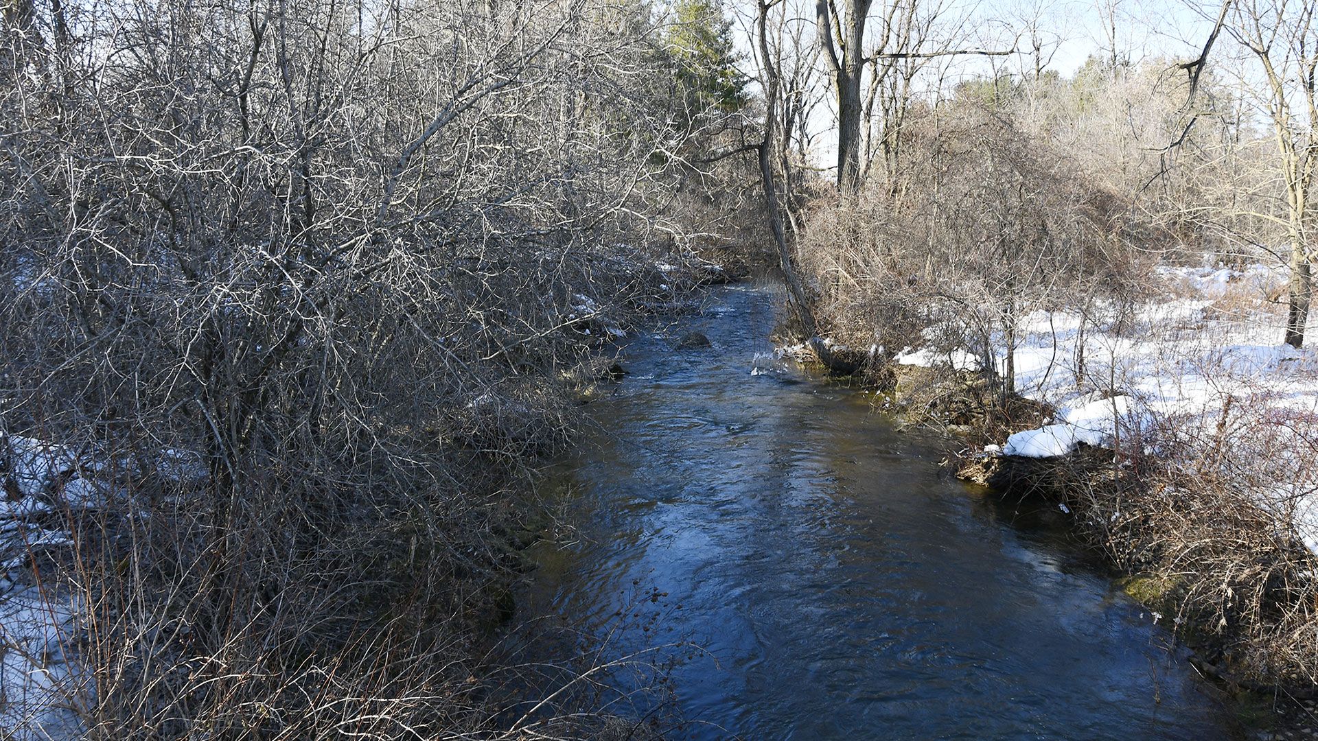 A December 2025 photo of the Ausable River.