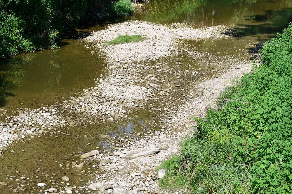 A photo of low water in Bayfield River in August 2025.
