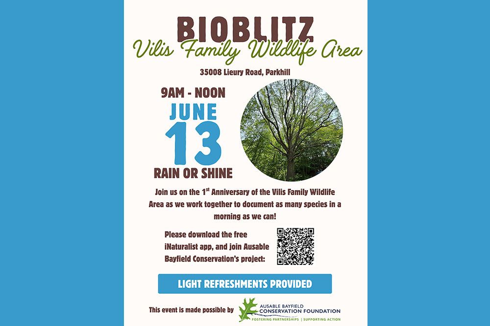 BioBlitz_1000_px.jpg