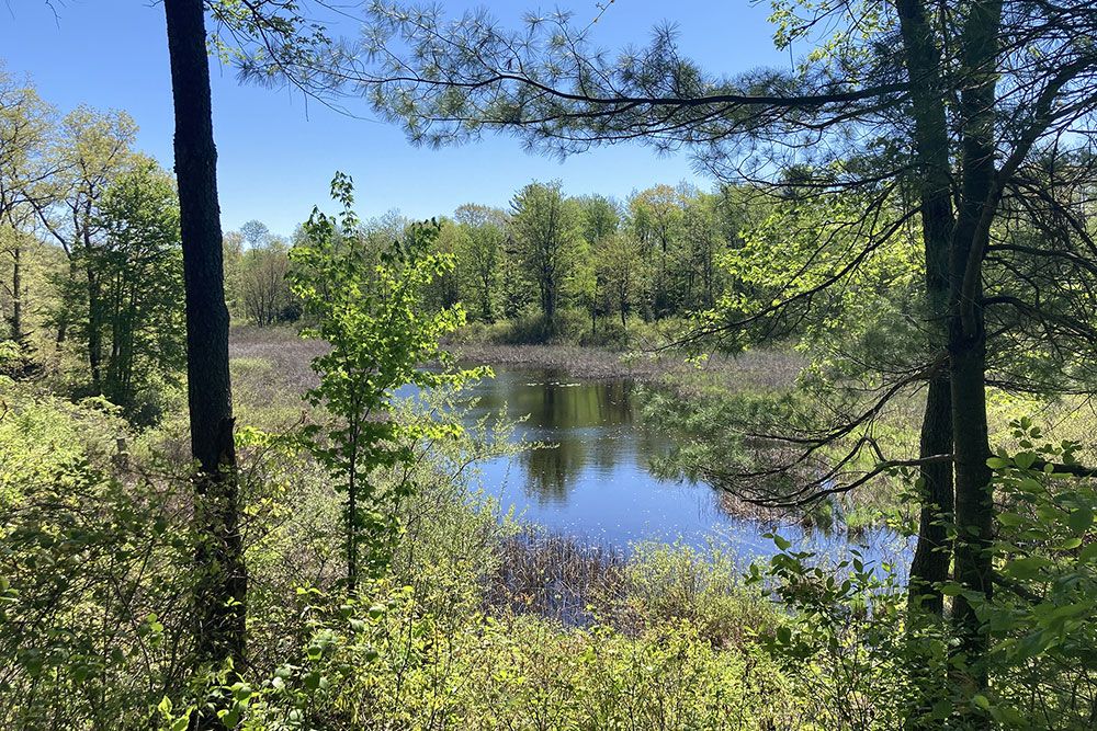 A watershed file photo.