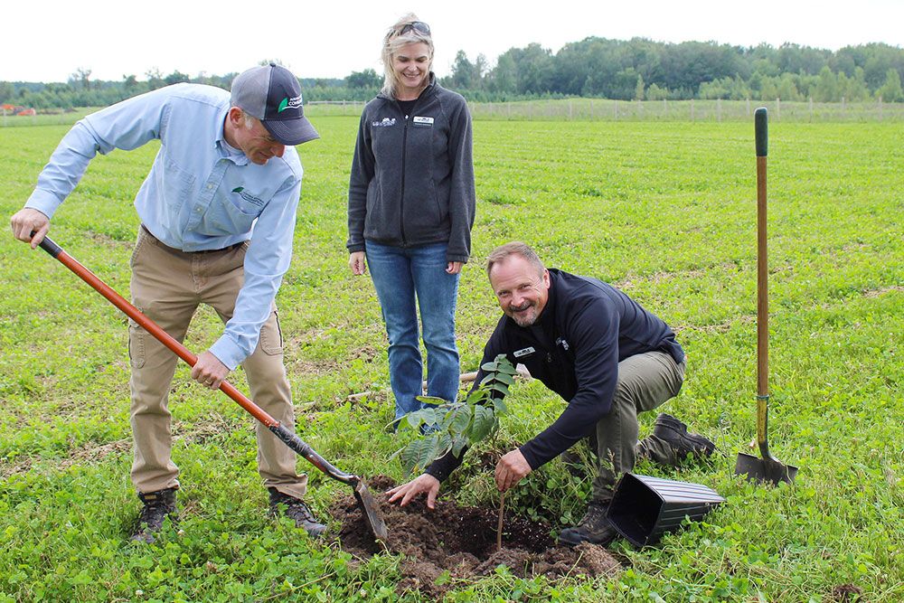 Planting a Butternut seedling, at ceremony, were Ian Jean (from ABCA) and, from FGCA, Heather Zurbrigg and Corey Gent. 