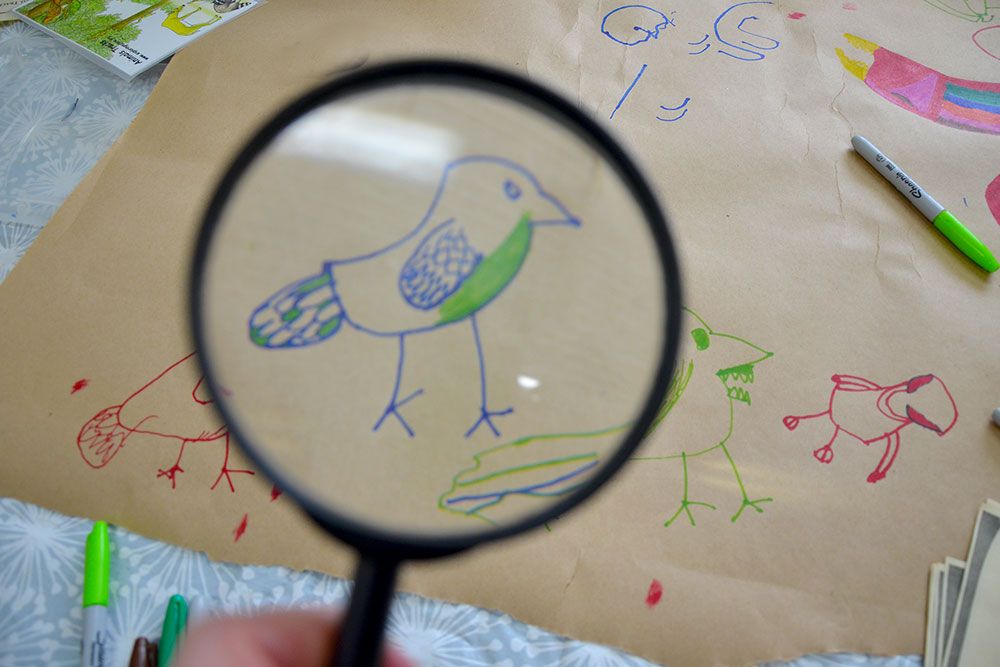 A student with magnifying glass inspects bird illustration.