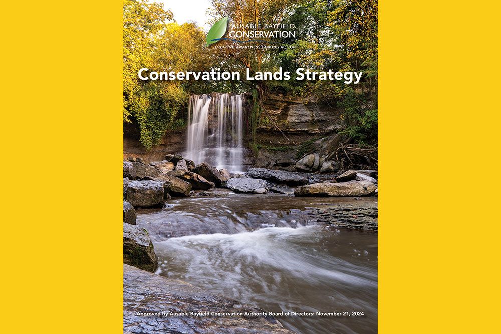 Conservation_Lands_Strategy_1000_px.jpg