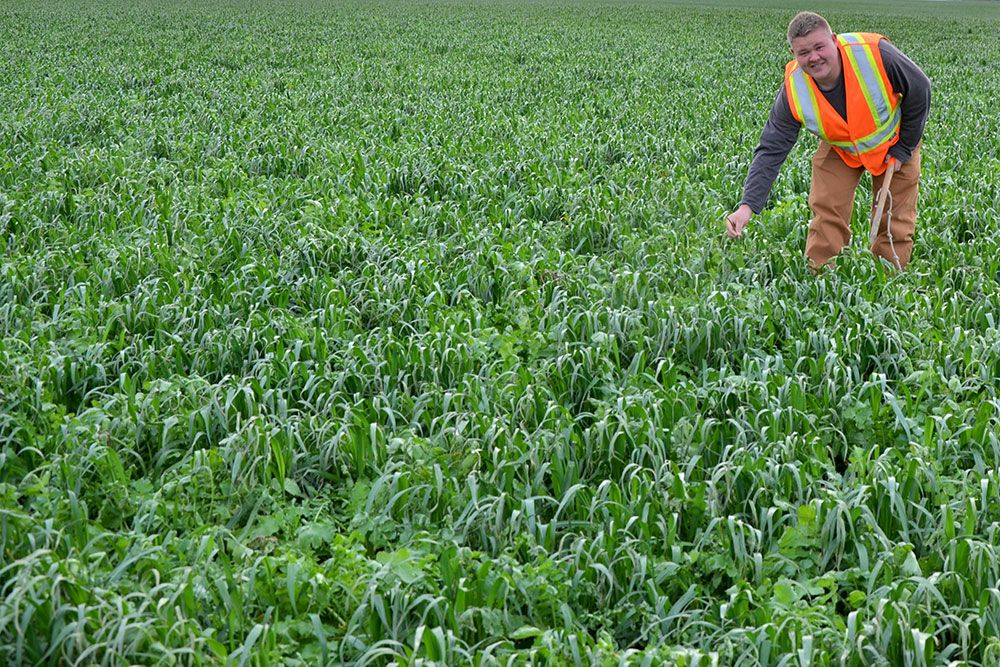 Adopting Cover Crops In 2020   Cover Crops Web 2 