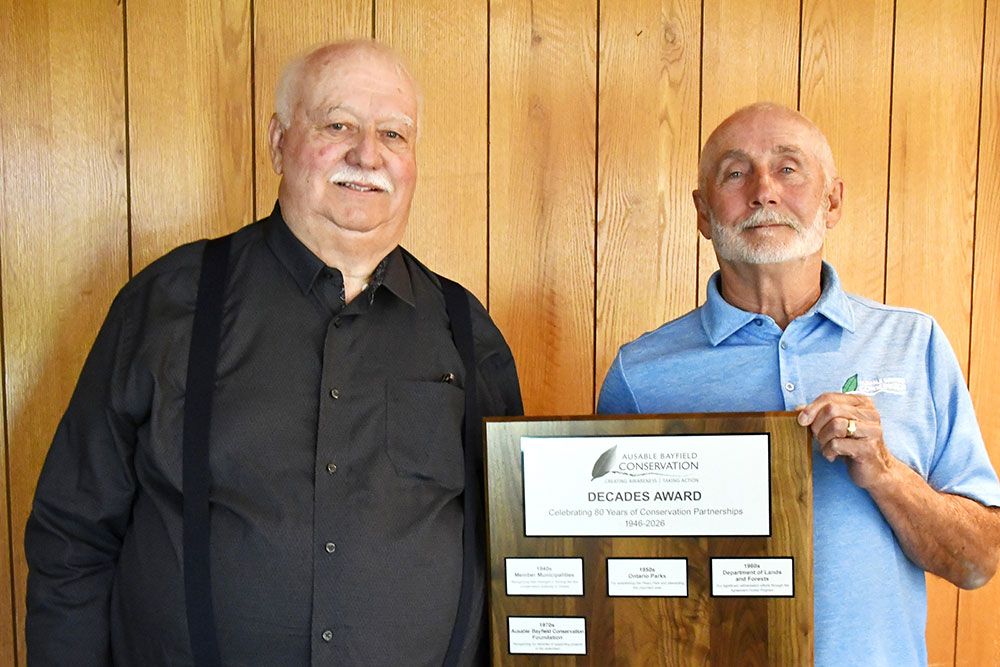 Decade_Award_ABCA_to_ABCF_1000_px.jpg