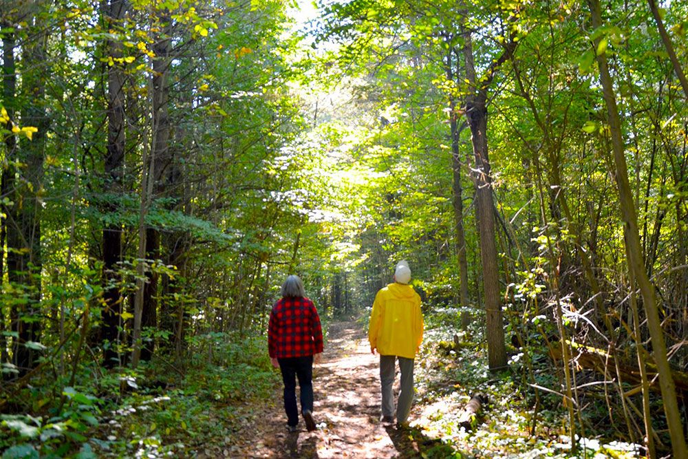 A photo of two people walking through the woods.