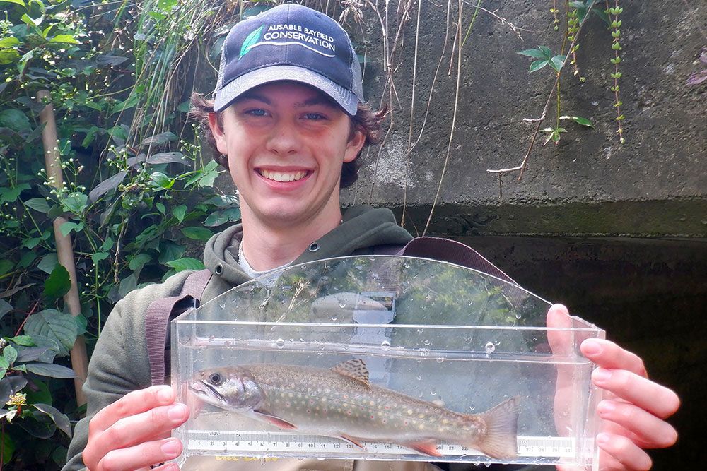 Junior Conservationist Graeme Irwin helps to measure a Brook Trout.