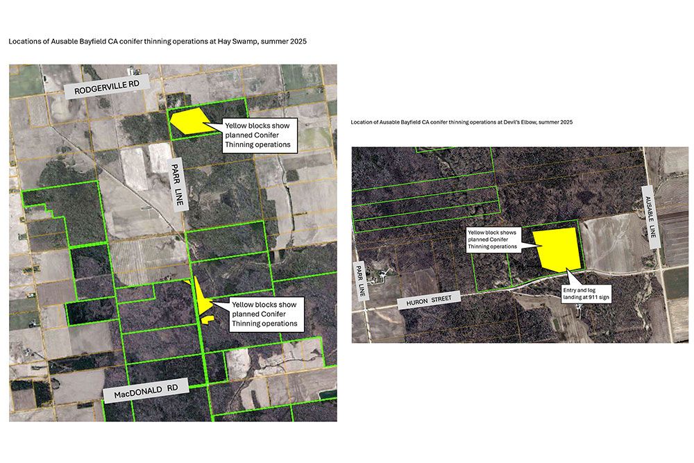 Images of maps of properties temporarily closed in Hay Swamp.