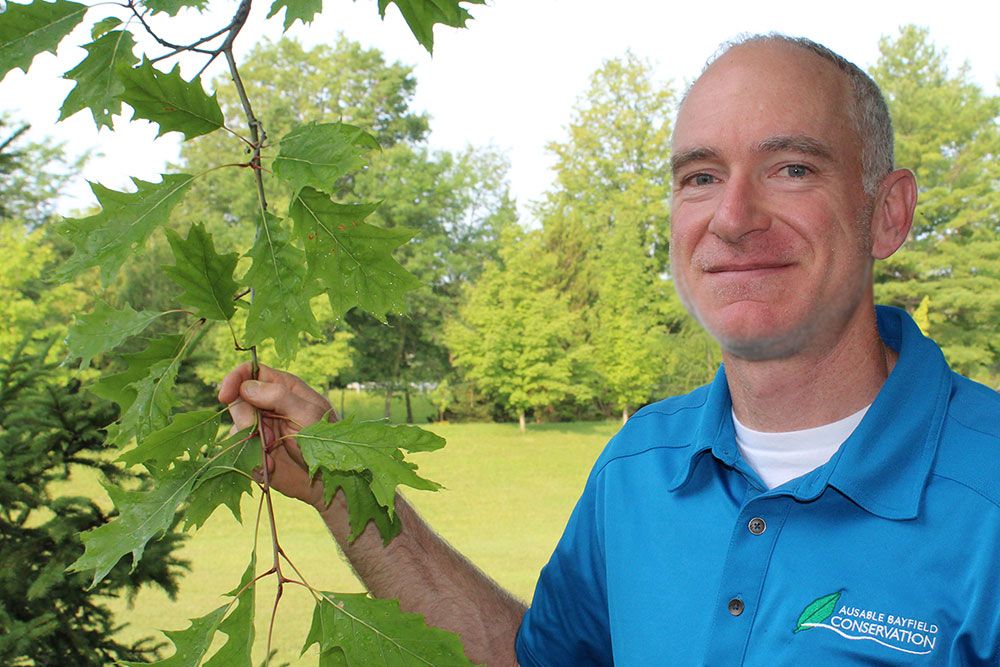 ABCA Forestry and Land Stewardship Specialist Ian Jean holds a branch with healthy Red Oak leaves.