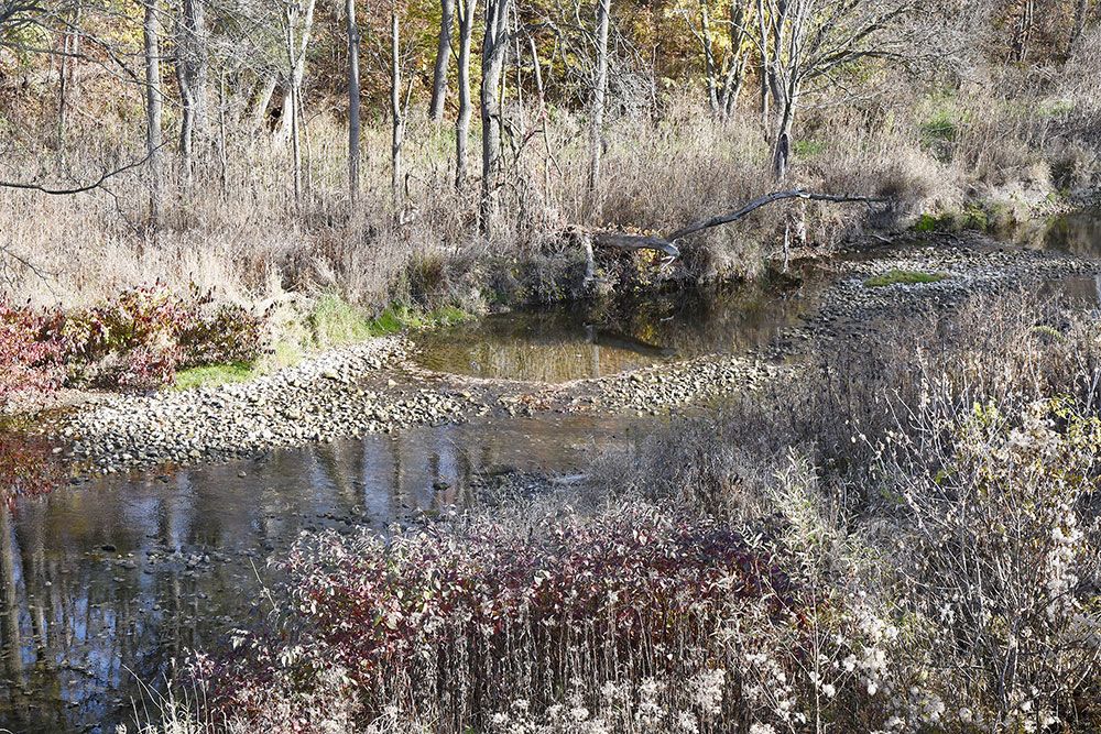 A photo of low water in the Bayfield River earlier in 2024.