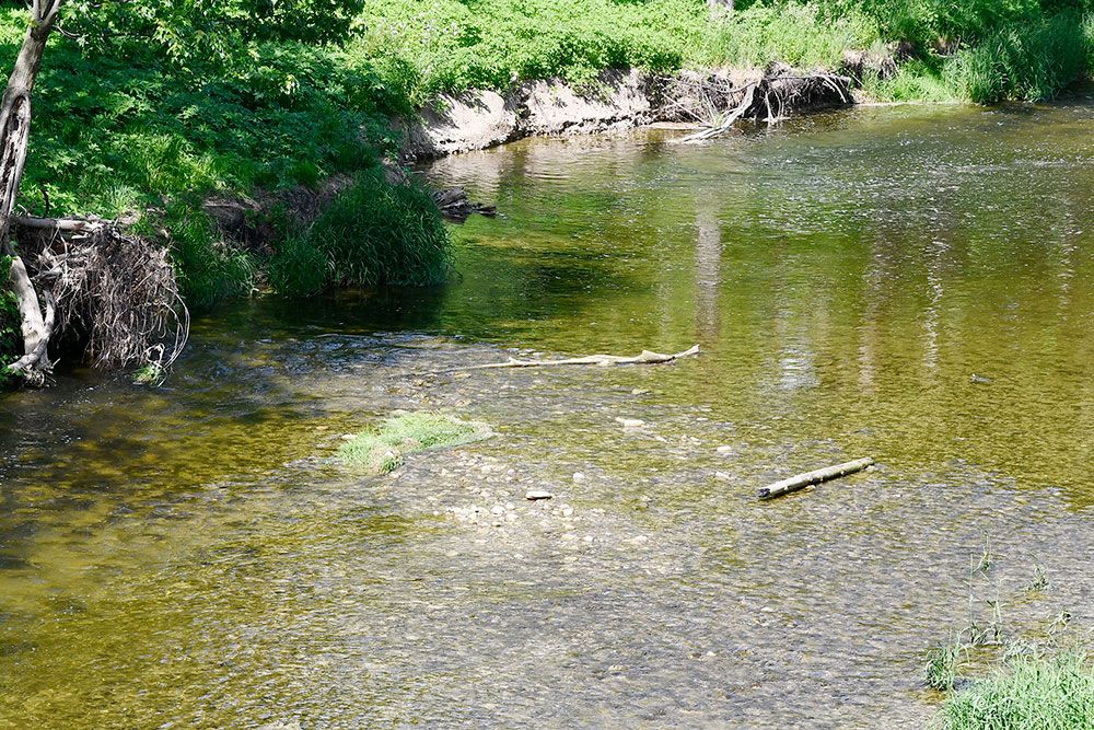 A file photo from summer 2026 of lower water levels in streams.