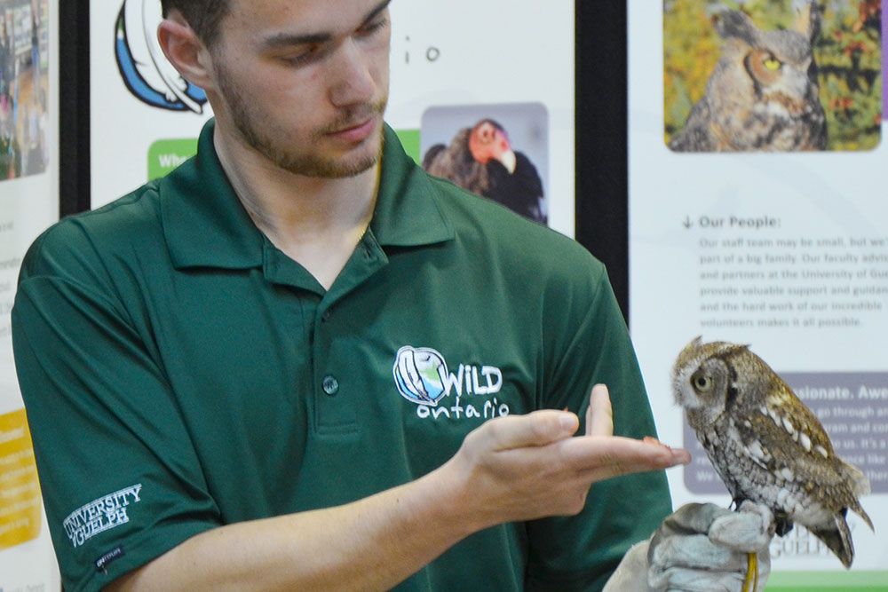 Wild Ontario brought owl ambassadors to Owl Prowls.