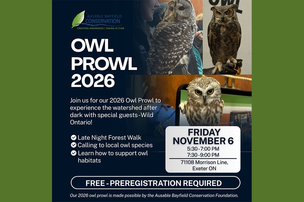 Owl_Prowl_2026_1000_px.jpg