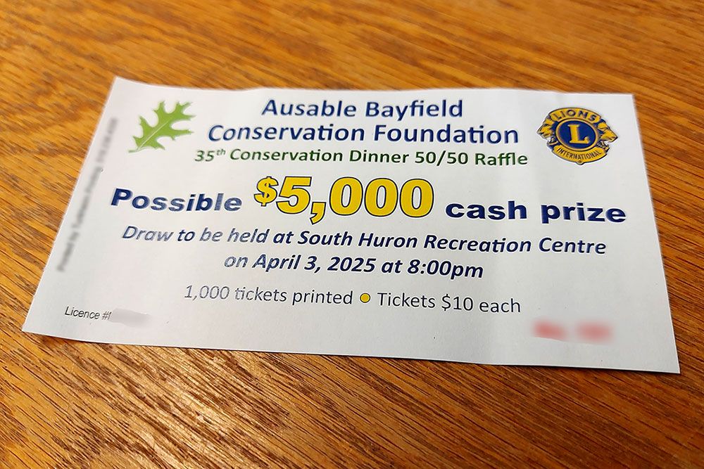 A 50-50 raffle draw ticket.