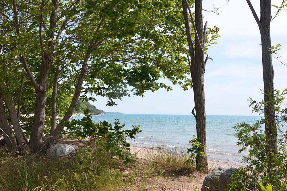 A shoreline file photo showing water and trees and rock.