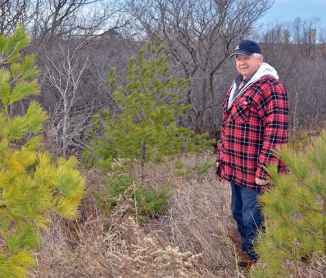Stu_Steckle_Planting_Trees.jpg