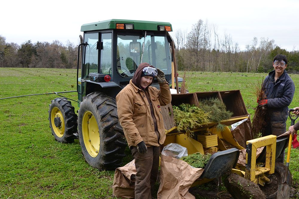 A file photo of tree planters.