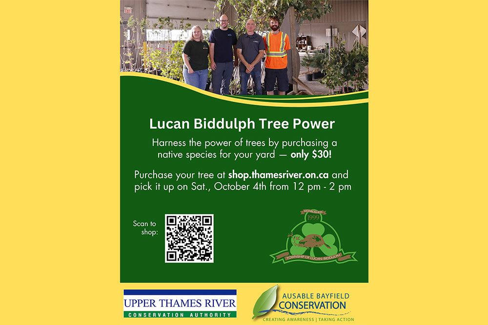 A poster for purchase of native species of trees in Lucan Biddulph.