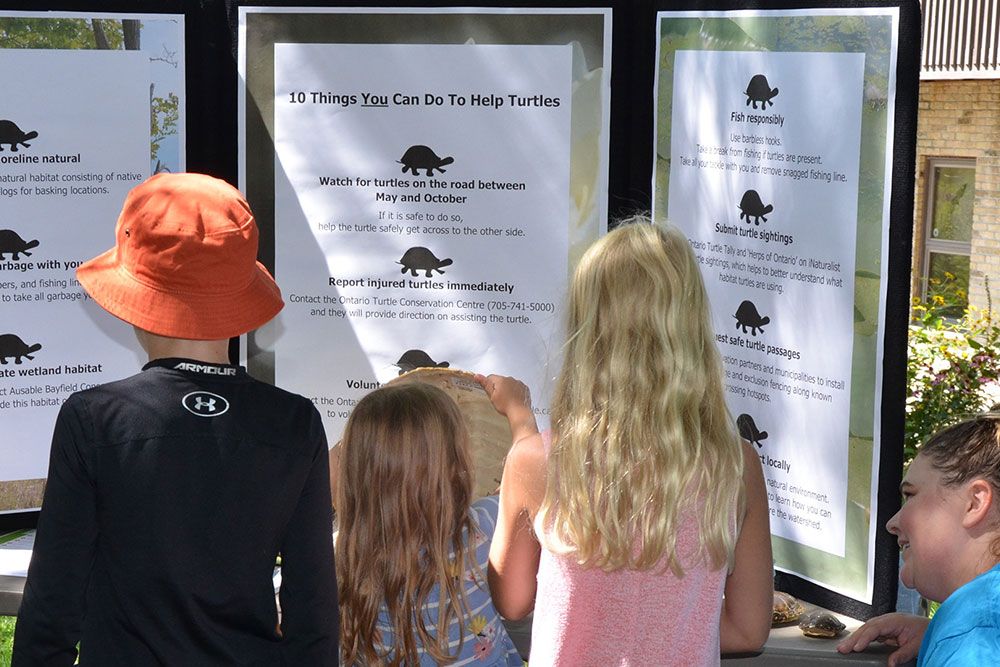 Young people learn about turtles at educational display.