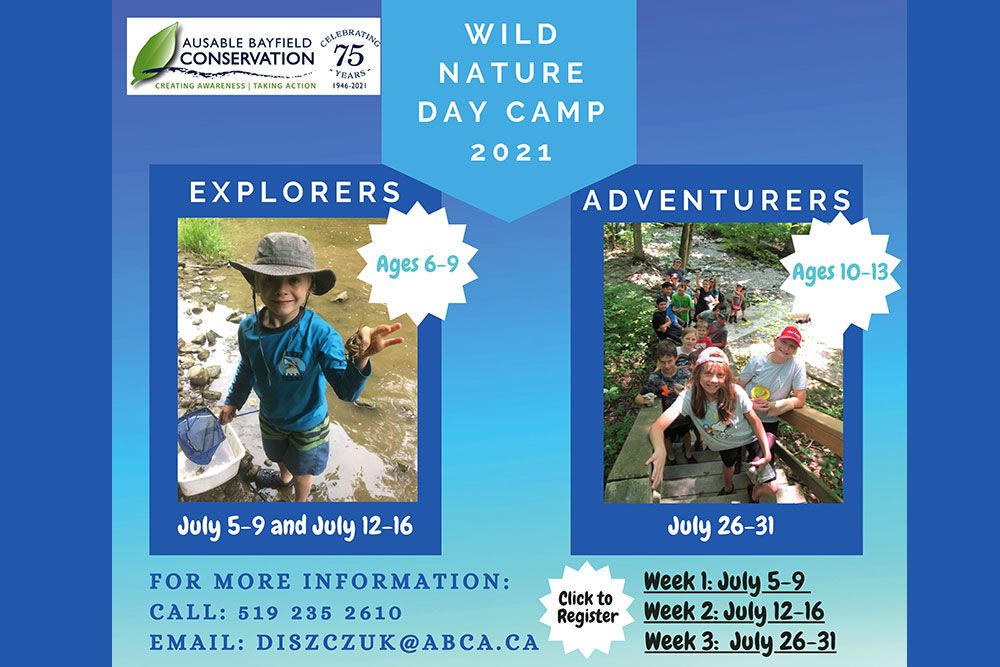 WILD_Nature_Day_Camp_Web_2.jpg