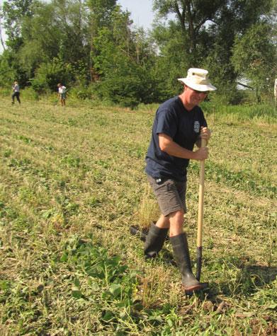 Volunteers restore wetland