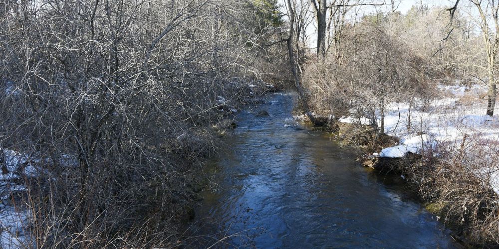 A December 2025 photo of the Ausable River.