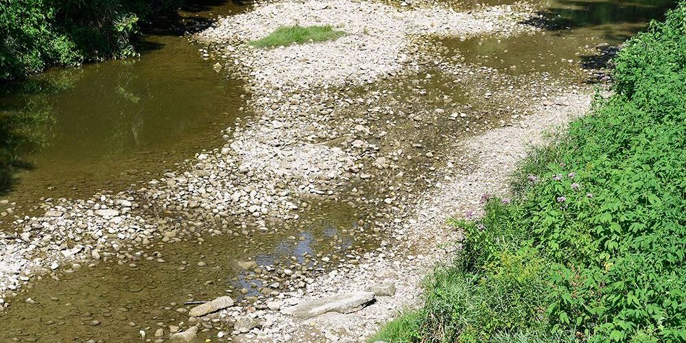 A photo of low water in Bayfield River in August 2025.