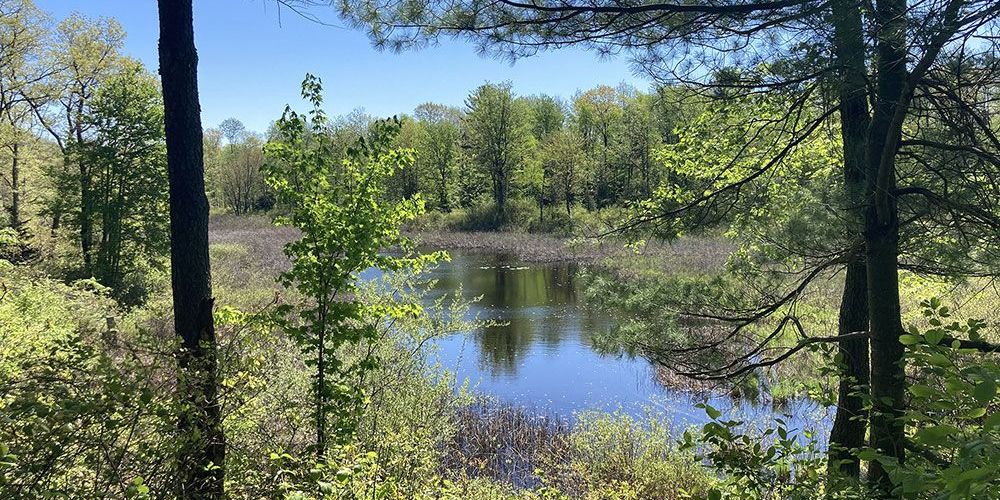 A watershed file photo.