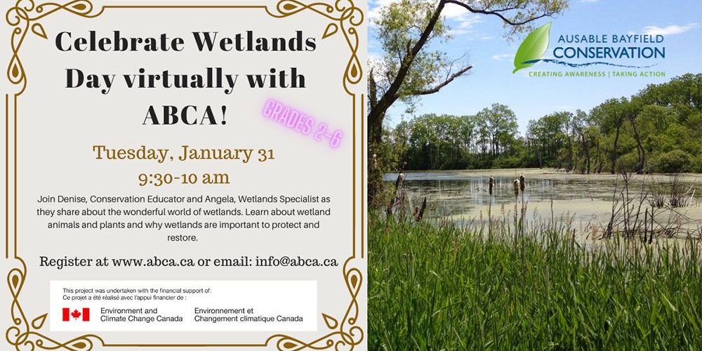 This image shows a wetland and information about virtual wetland activity.