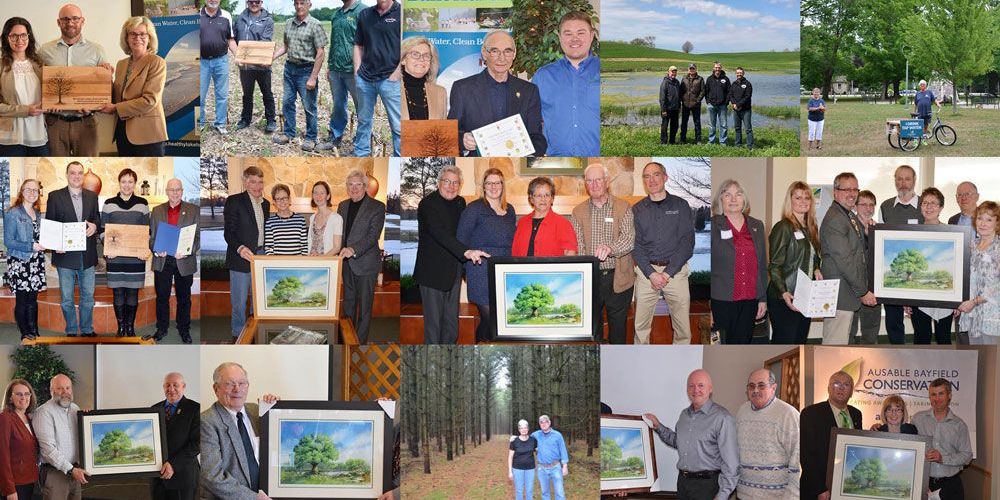 A collage of some of the recent conservation award winners.