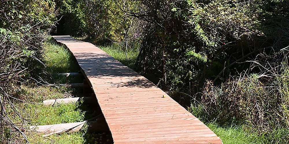 A file photo of boardwalk in conservation area.