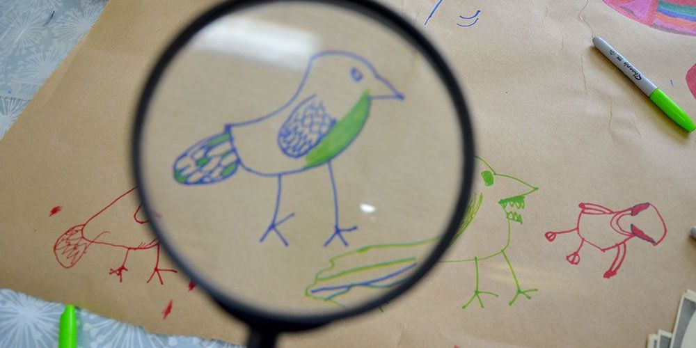 A student with magnifying glass inspects bird illustration.