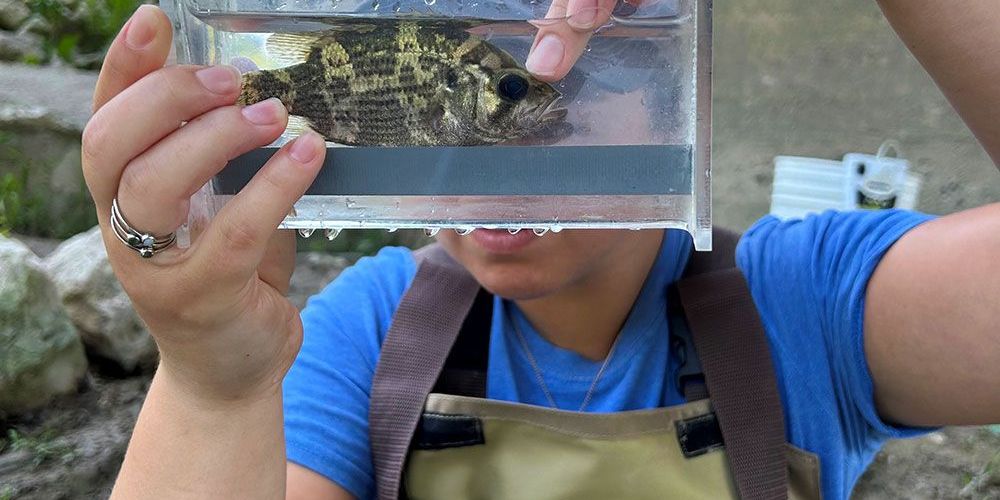 A file of surveying of fish species.