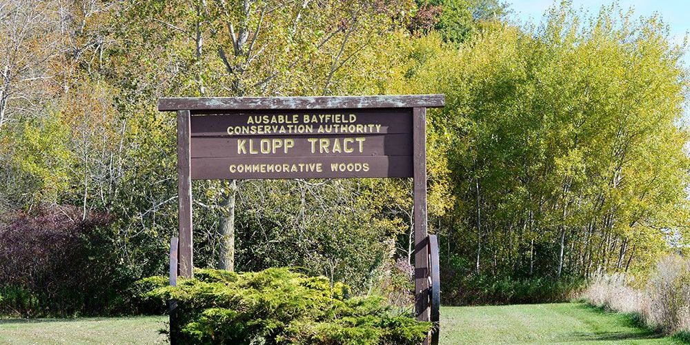 A file photo from 2019 of Commemorative Woods at Klopp Tract.
